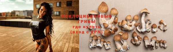 тгк Кодинск
