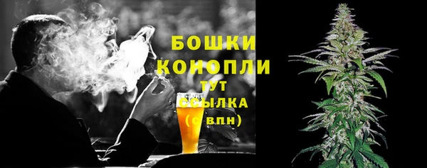 МДПВ Козловка