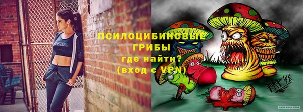 МДПВ Козловка