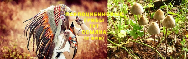 МДПВ Козловка
