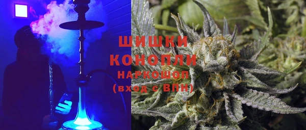 МДПВ Козловка