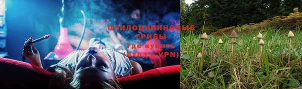 тгк Кодинск