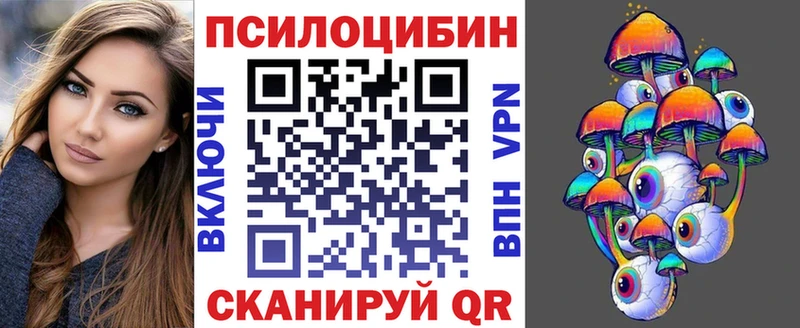 Галлюциногенные грибы Psilocybe  Купить закладки  Гай 