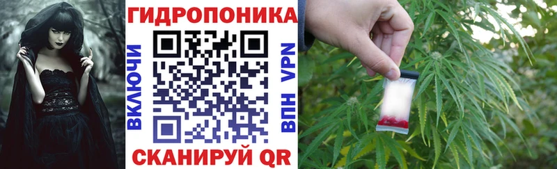 Бошки Шишки индика  Купить закладки  Гай 